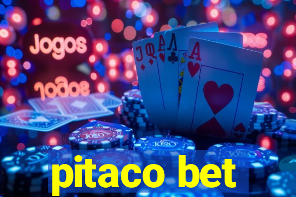 pitaco bet